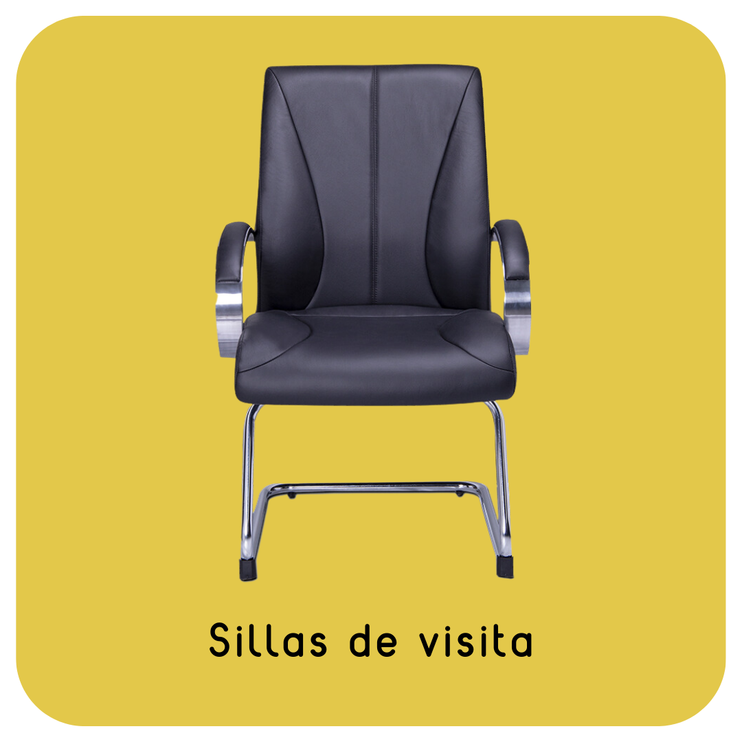 Visita