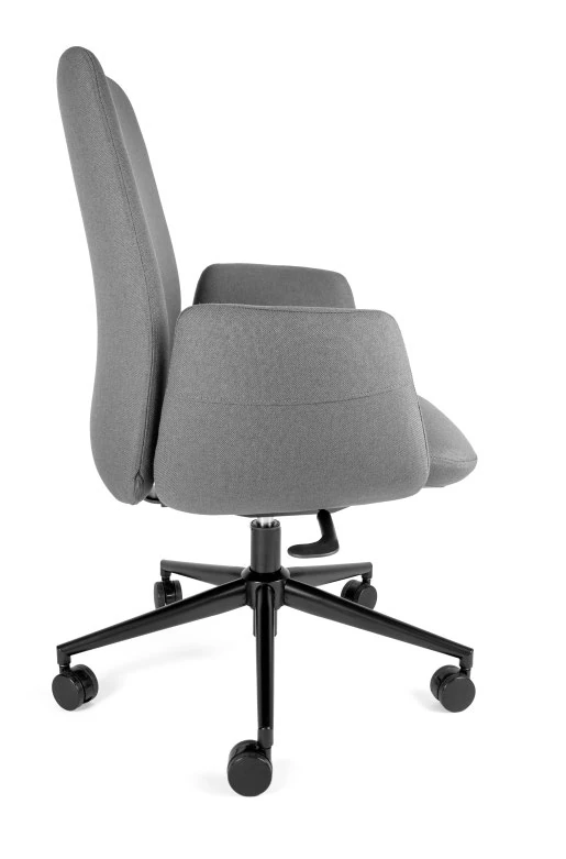 Sillón ejecutivo CALYNA PLUS en vista lateral posterior