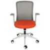 Lirena gris 10191, vista frontal