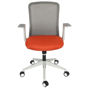 Lirena gris 10191, vista frontal