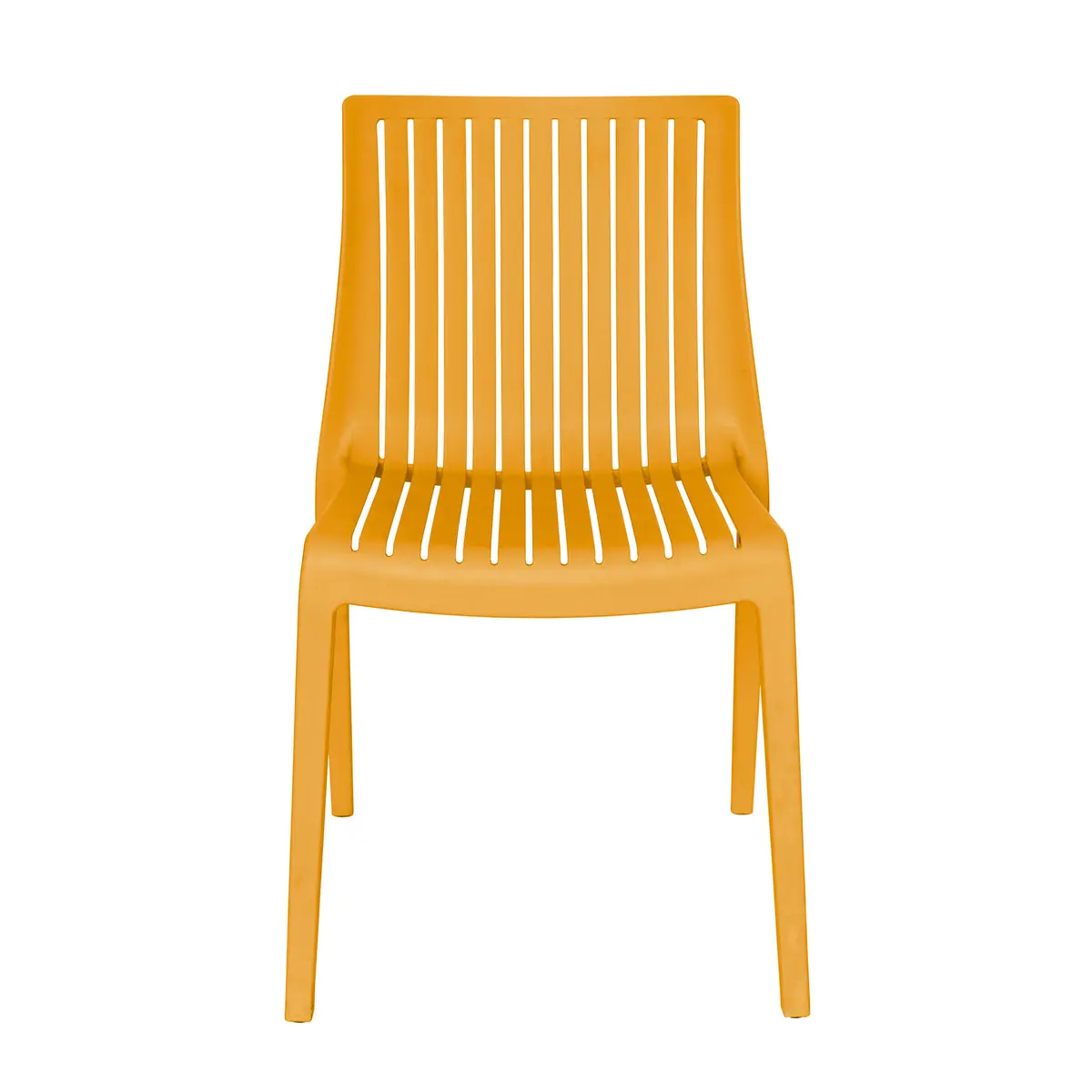 SARALIA vista frontal SARALIA vista frontal